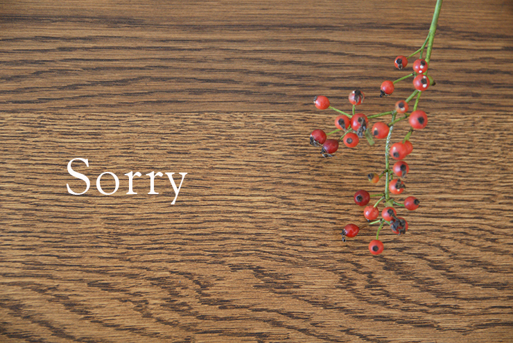 sorry-01
